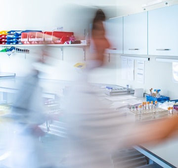 Item met alleen tekst